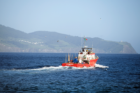 Mar dos Açores atum bom petisco